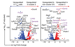 Nature：免疫系統(tǒng)在對(duì)抗癌癥的過程中最大的敵人居然是自己！