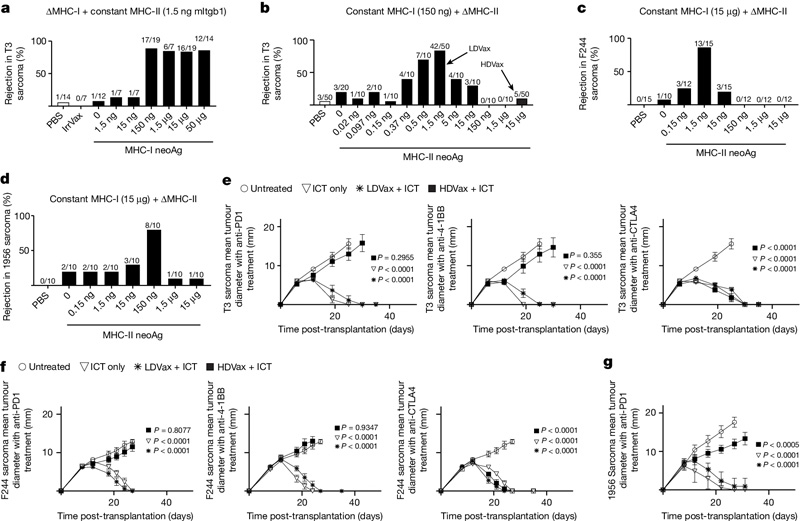 高劑量的MHC-II neoAg會抑制SLP疫苗和某些ICT的抗腫瘤療效 高劑量的MHC-II neoAg會抑制SLP疫苗和某些ICT的抗腫瘤療效