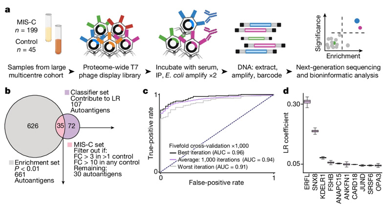自身抗原將MIS-C與高危對(duì)照區(qū)分 自身抗原將MIS-C與高危對(duì)照區(qū)分