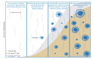 《Nature Neuroscience》阿爾茨海默病不僅僅是神經(jīng)元