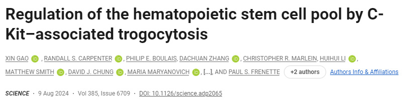 C-Kit相關(guān)的吞噬作用對(duì)造血干細(xì)胞庫(kù)的調(diào)節(jié) C-Kit相關(guān)的吞噬作用對(duì)造血干細(xì)胞庫(kù)的調(diào)節(jié)