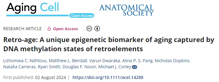 Retro-age:一種由逆轉(zhuǎn)錄元件的DNA甲基化狀態(tài)捕獲的獨(dú)特的衰老表觀遺傳生物標(biāo)志物 Retro-age:一種由逆轉(zhuǎn)錄元件的DNA甲基化狀態(tài)捕獲的獨(dú)特的衰老表觀遺傳生物標(biāo)志物