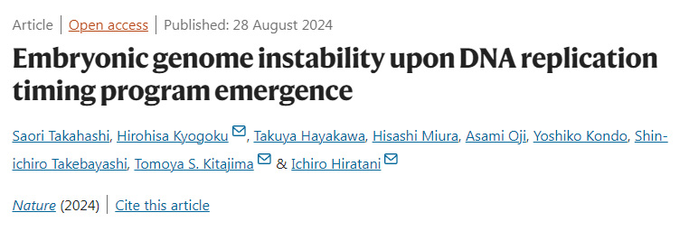 DNA復制定時程序出現(xiàn)時胚胎基因組的不穩(wěn)定性