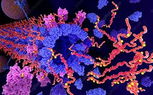 Tau不僅是“壞人”，它還扮演著“好人”的角色，保護我們的大腦