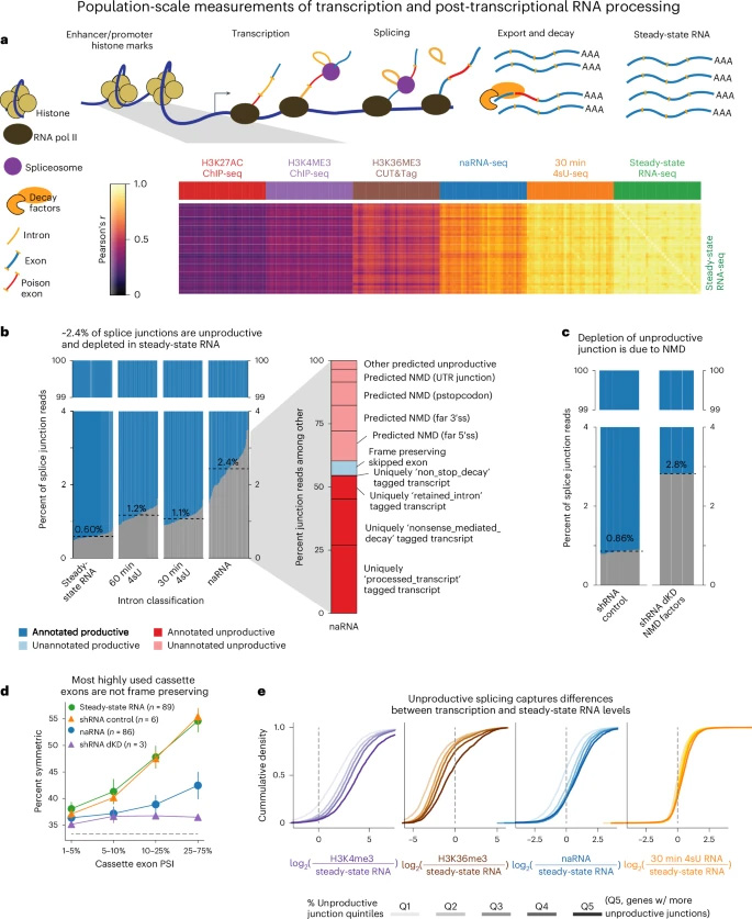 在轉(zhuǎn)錄之前、期間和之后捕獲的基因組數(shù)據(jù)揭示了NMD亞型的豐富性