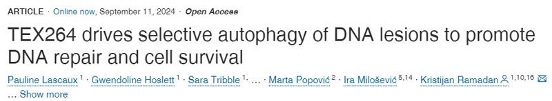 
TEX264驅(qū)動DNA損傷的選擇性自噬，以促進DNA修復(fù)和細胞存活