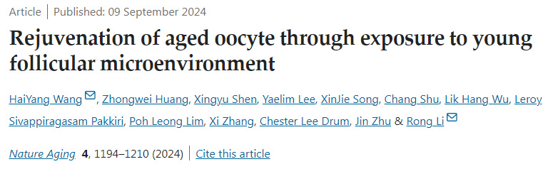 通過暴露于年輕卵泡微環(huán)境使老年卵母細胞再生
通過暴露于年輕卵泡微環(huán)境使老年卵母細胞再生