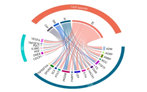 《自然醫(yī)學(xué)》：一種新的血液測試可以作為兒童糖尿病的早期預(yù)警