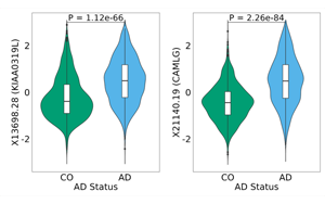 科學(xué)家發(fā)現(xiàn)了阿爾茨海默病檢測和治療的腦脊液標(biāo)志物