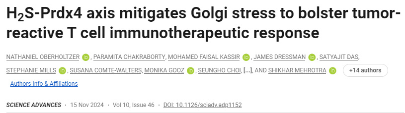 H2S-Prdx4軸減輕高爾基體應(yīng)激，增強(qiáng)腫瘤反應(yīng)性T細(xì)胞免疫治療反應(yīng)