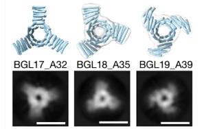 Nature：威脅人類(lèi)的病毒開(kāi)啟了未來(lái)