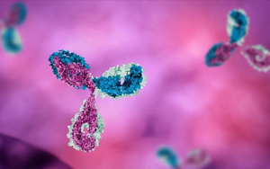 Seebio 病理級(jí)抗體 點(diǎn)亮您的免疫組化病理檢測