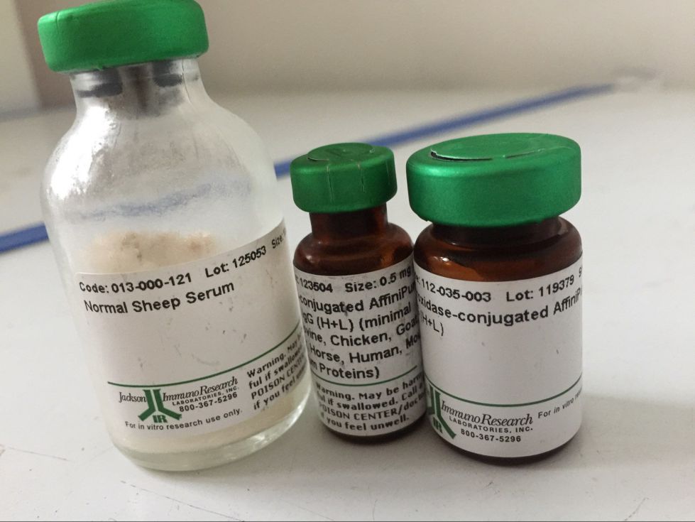 血清產品 血清產品