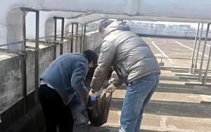 西寶“凈”界煥新 全員C位共筑辦公新生態(tài)