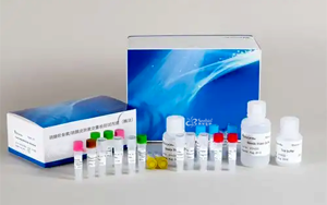 新品上市|硫酸軟骨素/硫酸皮膚素定量檢測試劑盒-關(guān)注糖胺聚糖檢測，助力藥品安全與科研創(chuàng)新！