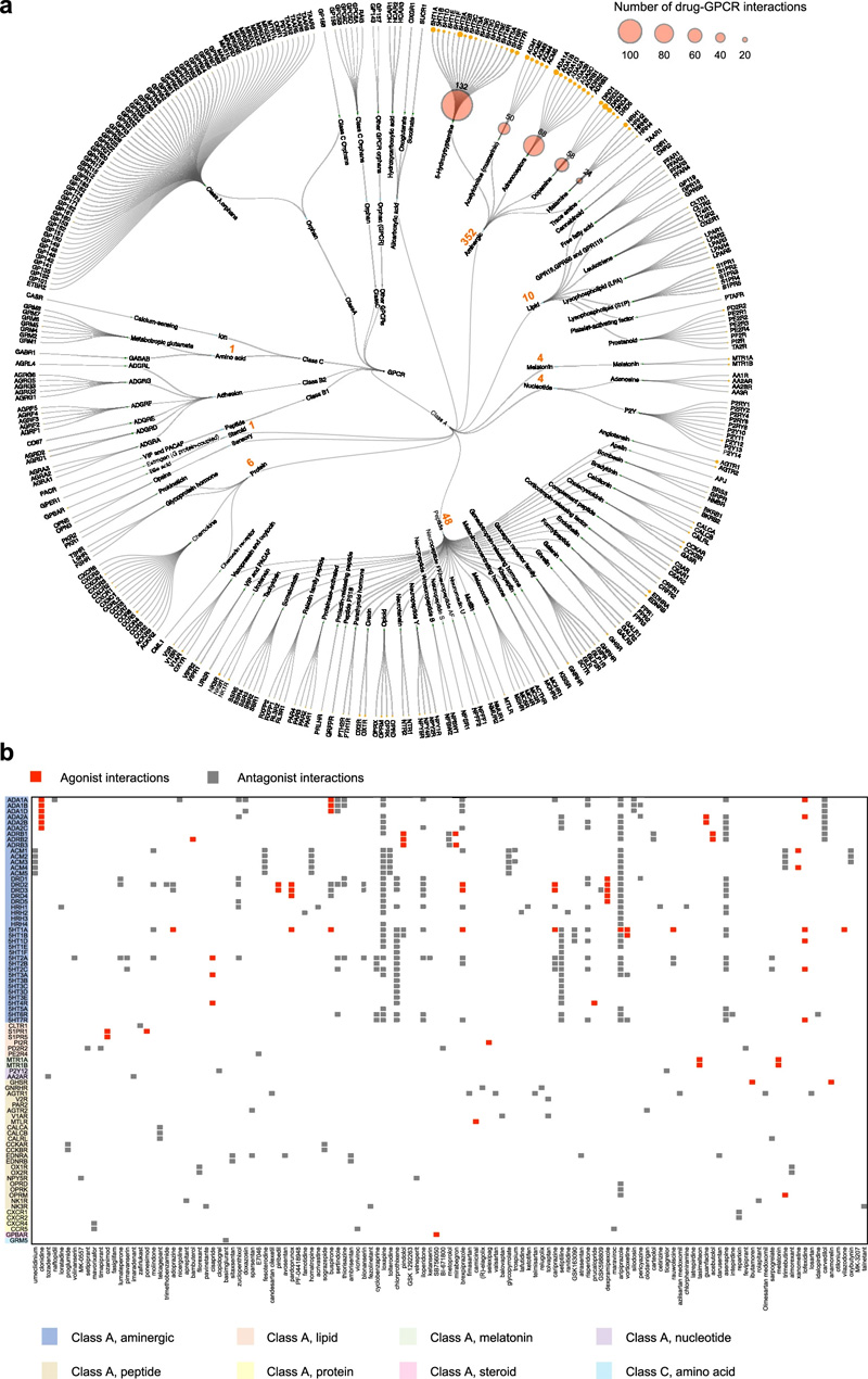 GPCR藥物活動圖 GPCR藥物活動圖