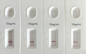 人偏肺病毒（hMPV）抗原檢測-免疫層析 （膠體金、彩色乳膠及熒光免疫層析）解決方案