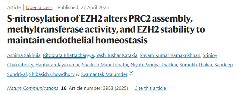 EZH2的S-亞硝基化通過改變PRC2復合物的組裝、甲基轉移酶活性及EZH2的穩(wěn)定性來維持內皮穩(wěn)態(tài)