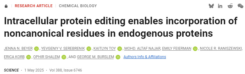  細(xì)胞內(nèi)蛋白質(zhì)編輯能夠在內(nèi)源性蛋白質(zhì)中引入非經(jīng)典氨基酸殘基