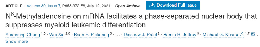  mRNA上的N6-甲基腺苷通過促進相分離核體的形成抑制髓系白血病分化