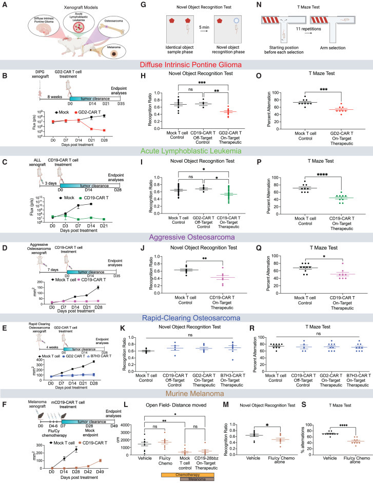 清除腫瘤的CAR T細(xì)胞治療后認(rèn)知障礙 清除腫瘤的CAR T細(xì)胞治療后認(rèn)知障礙