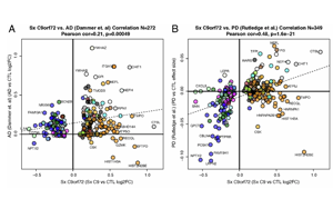 Nature Aging：中年人如何患上癡呆癥？可能與這些蛋白質(zhì)有關(guān)