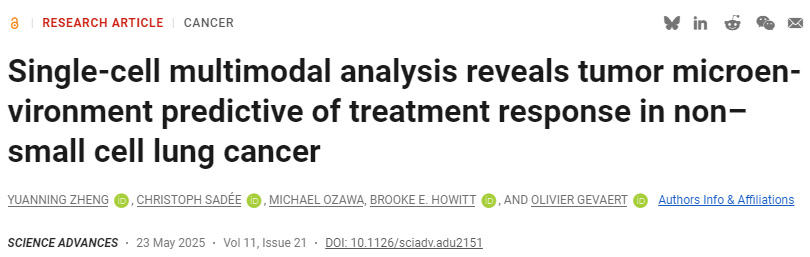 單細(xì)胞多模態(tài)分析揭示非小細(xì)胞肺癌腫瘤微環(huán)境對治療反應(yīng)的預(yù)測作用