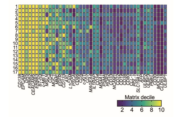  上皮細(xì)胞CAR抗原在結(jié)直腸癌肝轉(zhuǎn)移患者樣本中表達(dá)