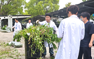 五月勞作培沃土 并蒂同心綻新榮