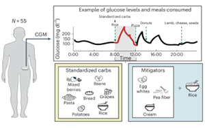 Nature Medicine：同樣是吃碳水，為什么每個人的血糖反應(yīng)不一樣？