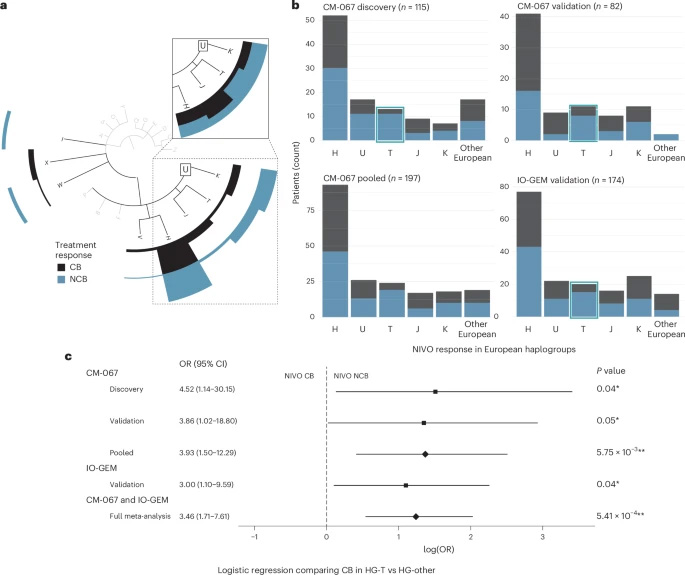 按歐洲單倍群分組的納武利尤單抗(NIVO)治療療效 按歐洲單倍群分組的納武利尤單抗(NIVO)治療療效