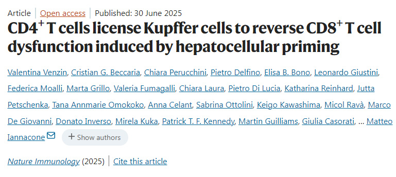 CD4+ T細(xì)胞允許庫普弗細(xì)胞逆轉(zhuǎn)肝細(xì)胞啟動(dòng)誘導(dǎo)的CD8+ T細(xì)胞功能障礙