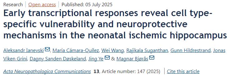 早期轉錄應答揭示新生兒缺血性海馬中細胞類型特異性的脆弱性與神經(jīng)保護機制
