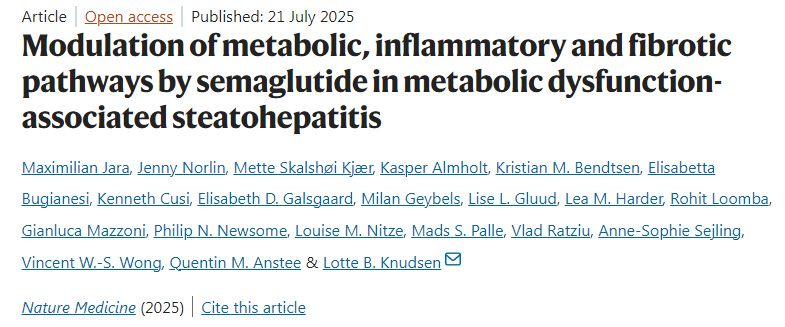 司美格魯肽在代謝功能障礙相關(guān)脂肪性肝炎中對(duì)代謝、炎癥和纖維化通路的調(diào)節(jié)作用