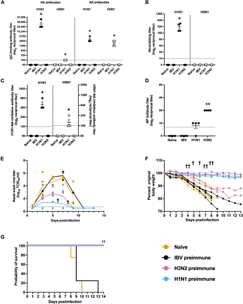 針對季節(jié)性H3N2病毒或2009年甲型H1N1流感病毒的預(yù)存免疫力，可有效預(yù)防雪貂因甲型水貂流感病毒（H5N1）感染引發(fā)的嚴重疾病