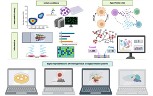 Cell：多年、多實(shí)驗(yàn)室合作，科學(xué)家們成功模擬癌細(xì)胞