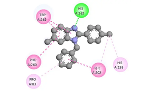 組蛋白去乙酰化酶6通過去乙?；c泛素化修飾ATG3調(diào)控自噬的新機(jī)制