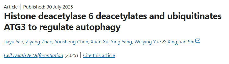 組蛋白去乙?；?通過去乙?；头核鼗揎桝TG3以調(diào)節(jié)自噬作用
