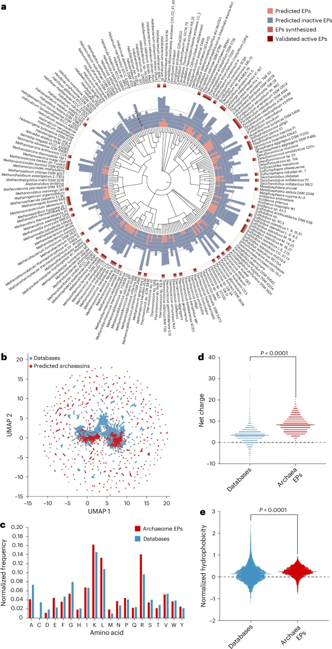 APEX人工智能模型對古菌組(古菌基因組/古菌群落組)的探索 APEX人工智能模型對古菌組(古菌基因組/古菌群落組)的探索