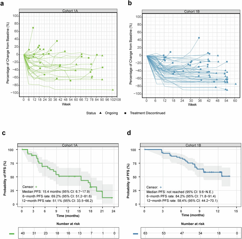 全分析集人群的療效
全分析集人群的療效