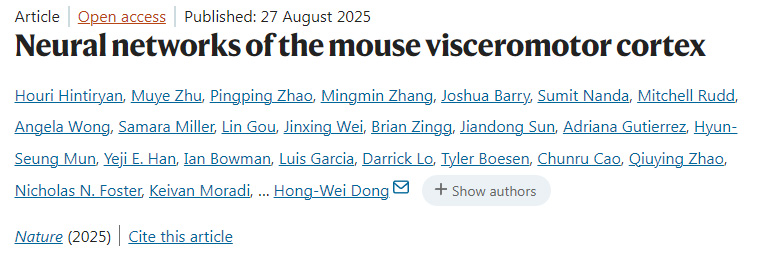 小鼠內(nèi)臟運(yùn)動(dòng)皮層的神經(jīng)網(wǎng)絡(luò) 小鼠內(nèi)臟運(yùn)動(dòng)皮層的神經(jīng)網(wǎng)絡(luò)