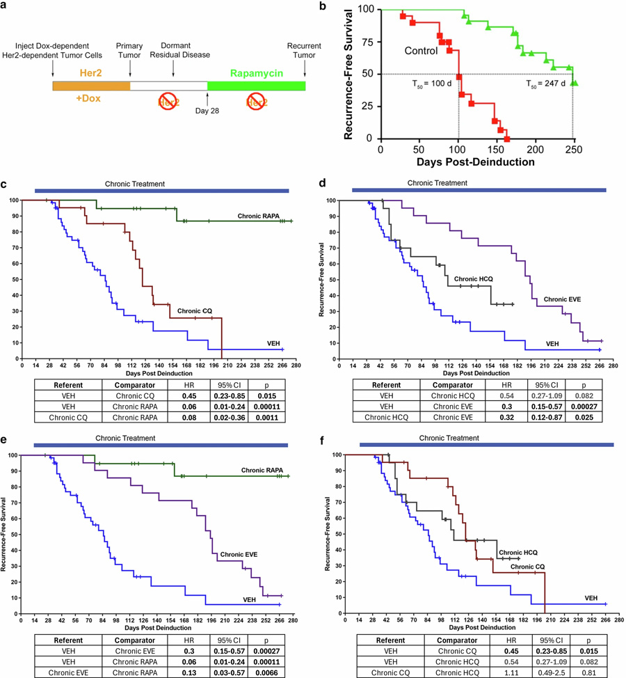 在小鼠CLEVER臨床前研究中，經(jīng)試驗(yàn)藥物長(zhǎng)期給藥后的無(wú)復(fù)發(fā)生存結(jié)局