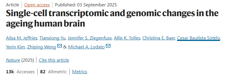 人類大腦衰老過程中的單細胞轉錄組與基因組變化 人類大腦衰老過程中的單細胞轉錄組與基因組變化