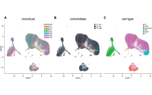 工程化細(xì)胞外囊泡（ILB-202）抑制NF-κB的安全性與抗炎作用：一項雙盲、隨機(jī)、安慰劑對照的I期臨床試驗