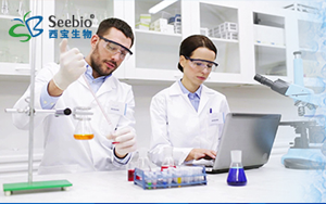 表面活性劑家族，種類齊全 常備現(xiàn)貨