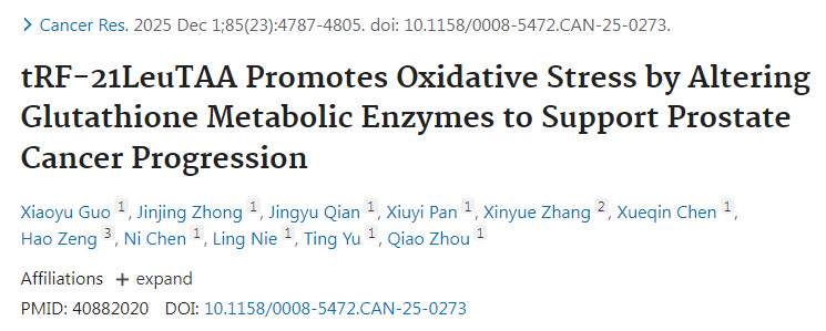 tRF-21LeuTAA通過調(diào)控谷胱甘肽代謝酶促進氧化應(yīng)激從而支持前列腺癌進展