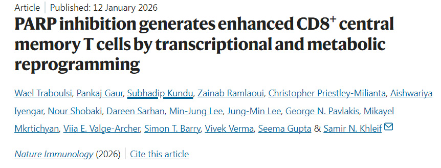 PARP抑制通過轉(zhuǎn)錄與代謝重編程促進(jìn)CD8+中央記憶性T細(xì)胞擴增 PARP抑制通過轉(zhuǎn)錄與代謝重編程促進(jìn)CD8+中央記憶性T細(xì)胞擴增
