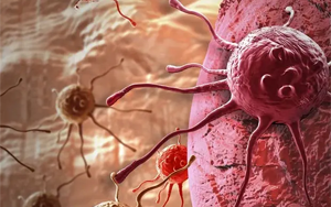 超級增強子導致腫瘤持續(xù)演化并更具侵襲性