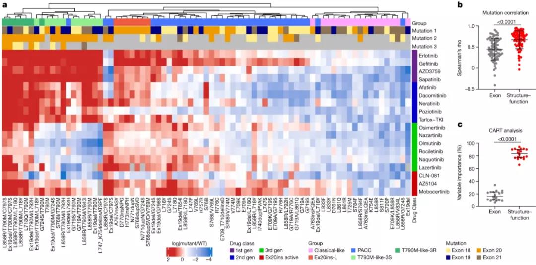 Nature重磅：這種致死率高的惡性腫瘤，或?qū)⒂瓉砭珳?zhǔn)治療時(shí)代