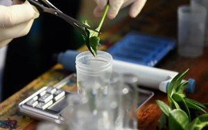 【診斷試劑原料】農(nóng)藥殘留抗原抗體